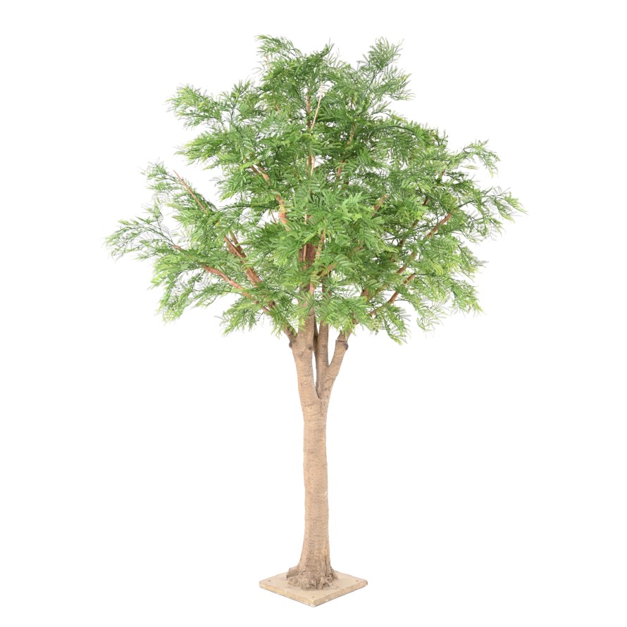 TAMARINDENBAUM 295 (Optik Mimose)