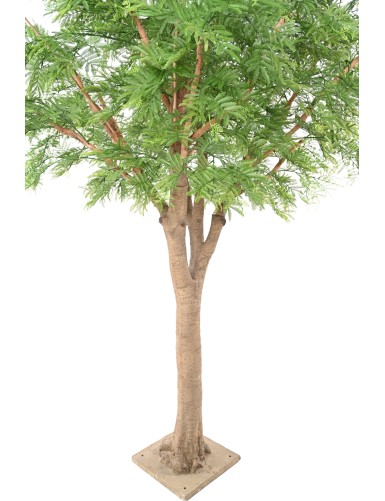 TAMARINDENBAUM 295 (Optik Mimose)