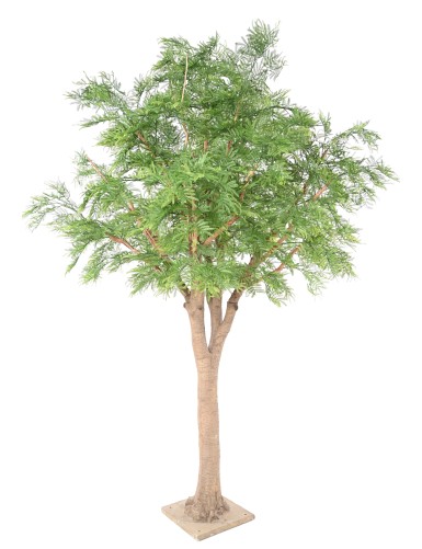 TAMARINDO 295 (mimosa)