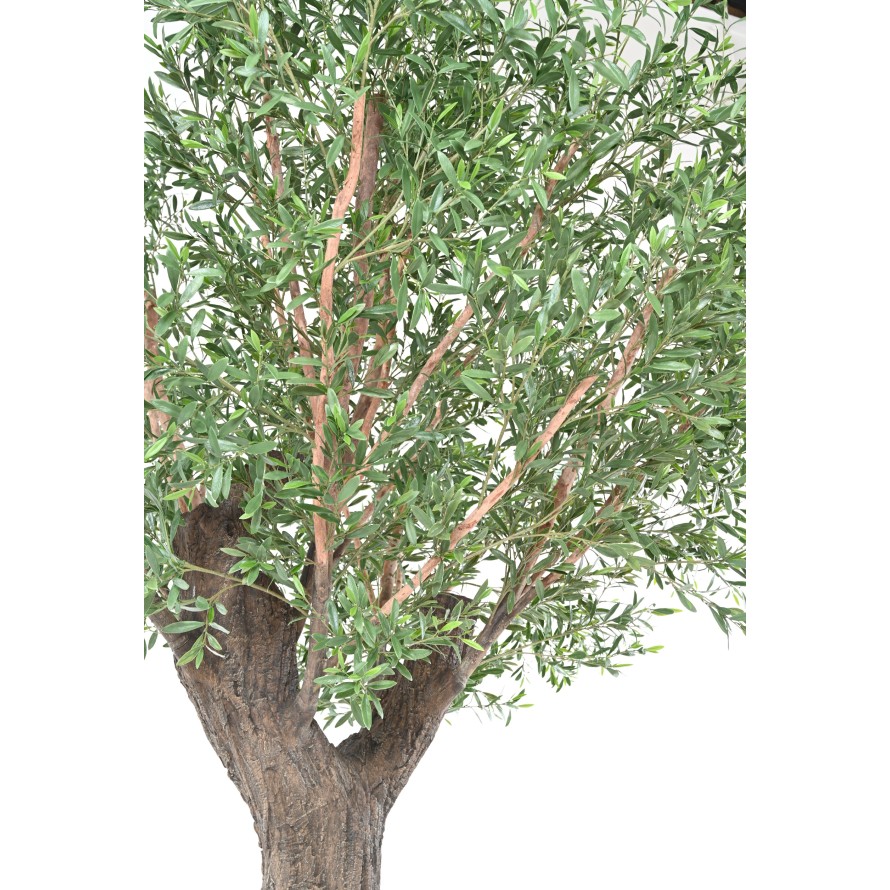 OLIVENBAUM 400 PE UV