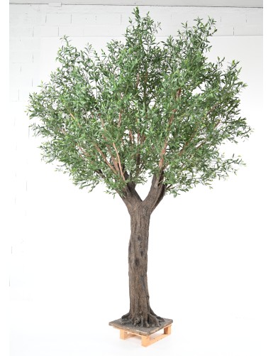 OLIVENBAUM 400 PE UV