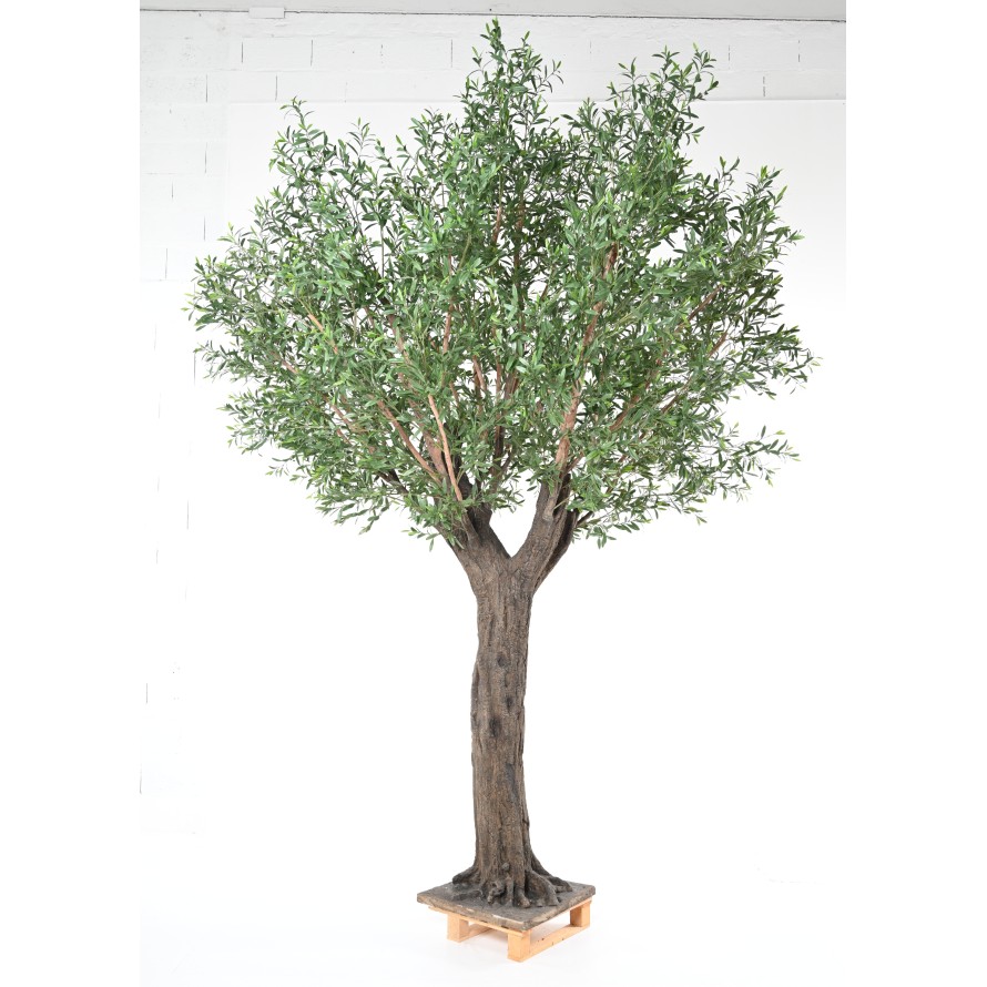 OLIVENBAUM 400 PE UV