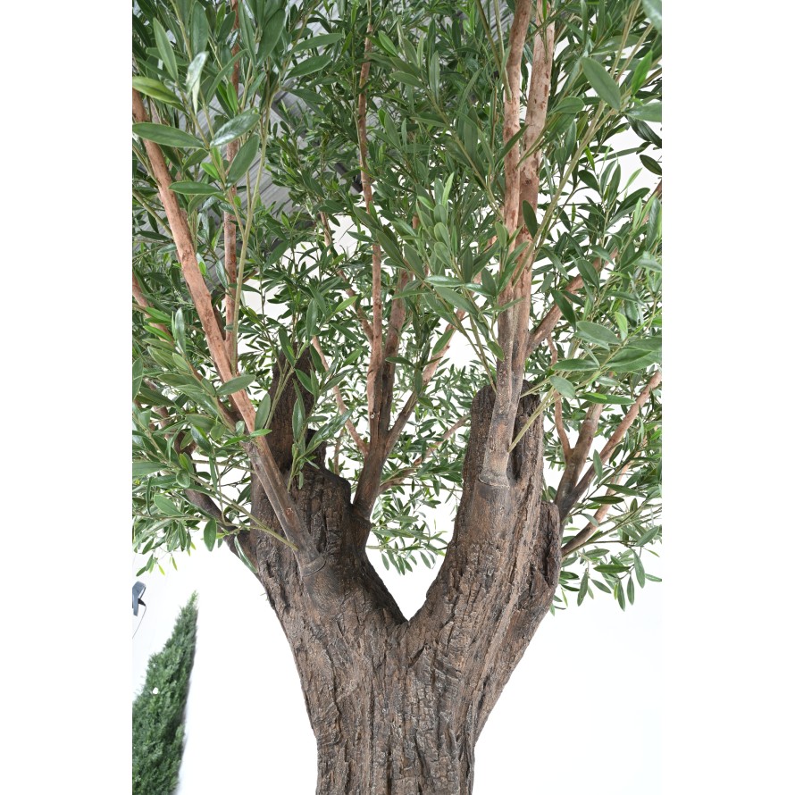 OLIVENBAUM 400 PE UV