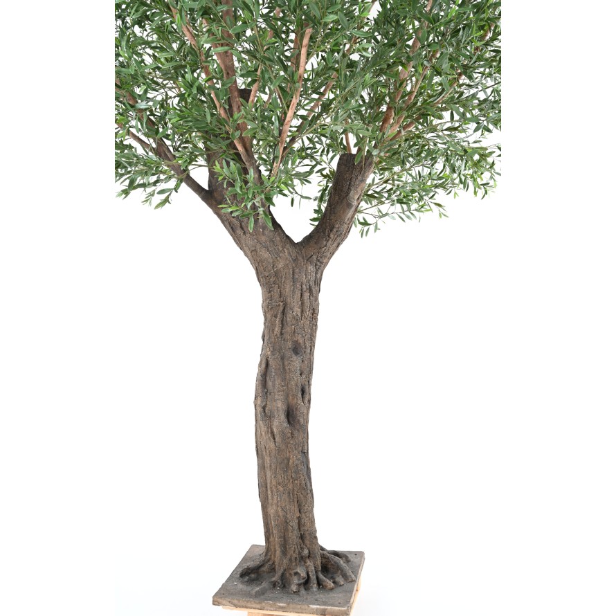 OLIVENBAUM 400 PE UV