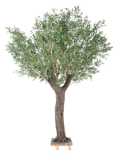 OLIVE TREE 400 PE UV