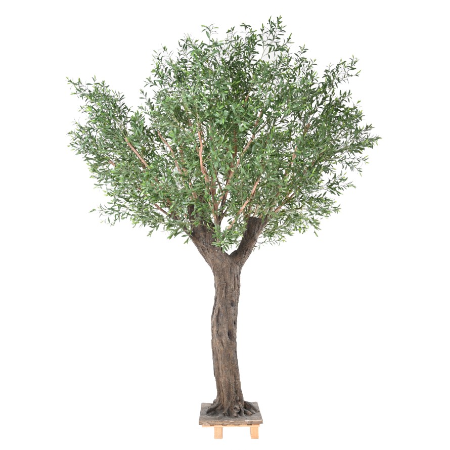 OLIVE TREE 400 PE UV