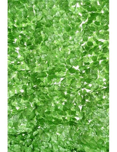 HORNBEAM TREE NET 200*300