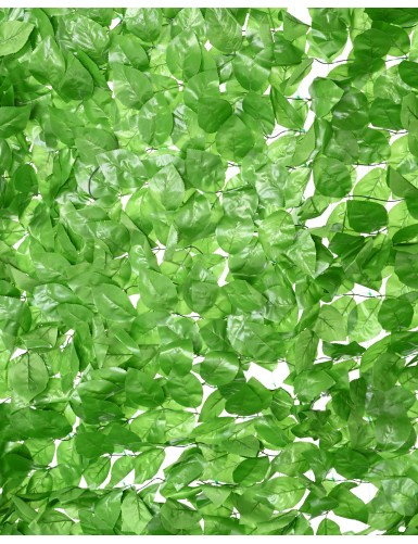 HORNBEAM TREE NET 200*300