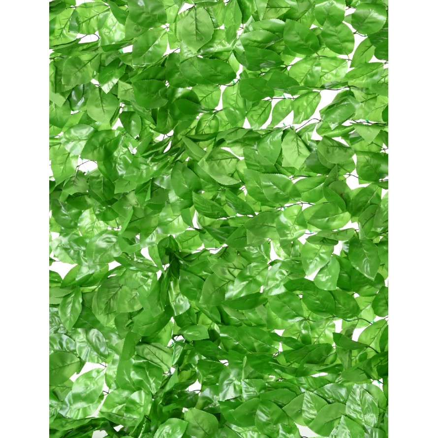 HORNBEAM TREE NET 200*300