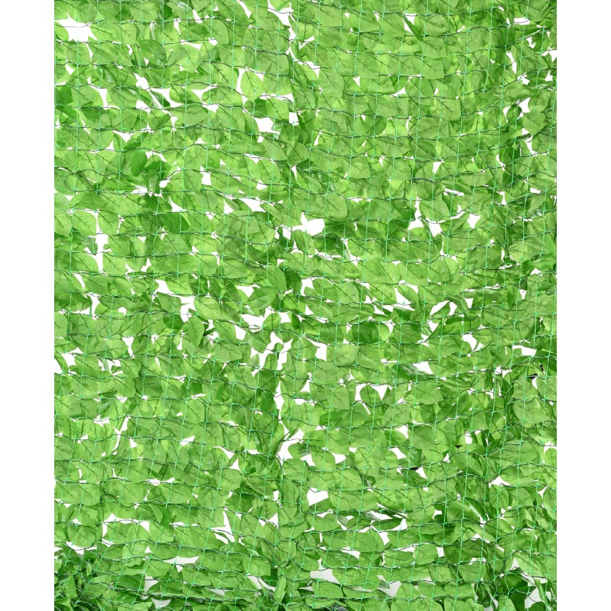 HORNBEAM TREE NET 200*300