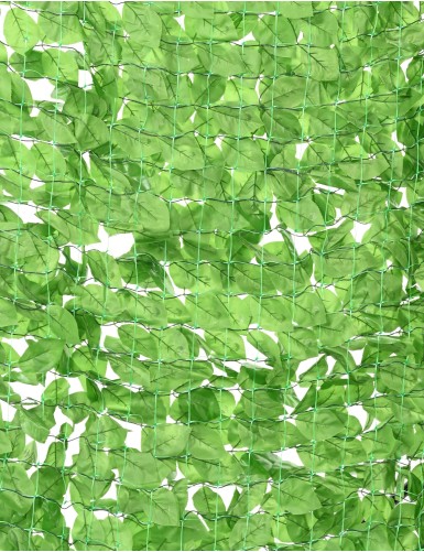 HORNBEAM TREE NET 200*300