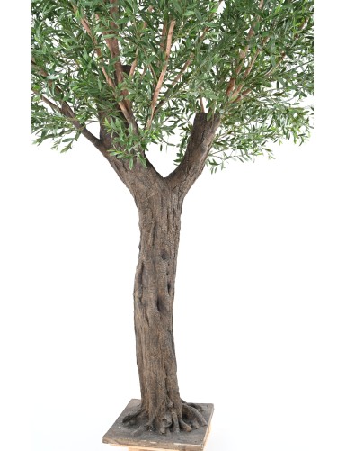 OLIVE TREE 400 PE