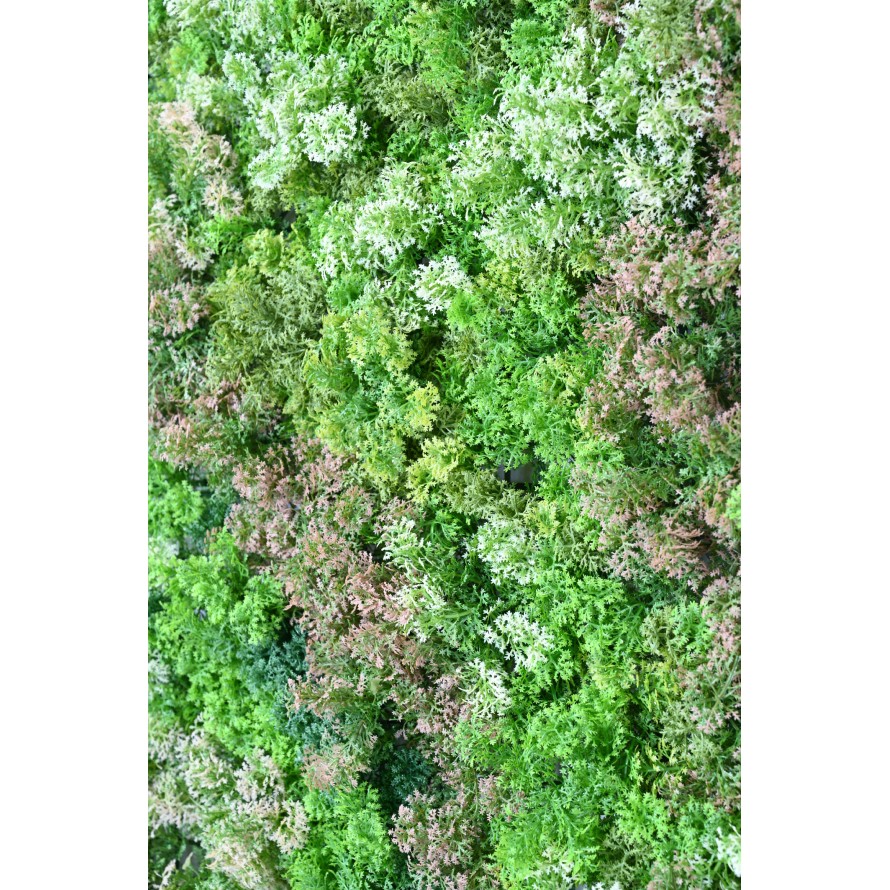 MUR PLAQUE MOUSSE 100*100