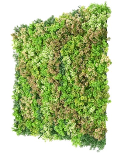 WAND PLATTE MOSS 100*100