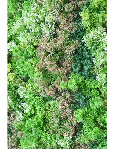 WAND PLATTE MOSS 100*100