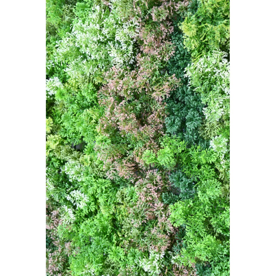 PANEL DE JARDÍN VERTICAL MUSGO 100*100