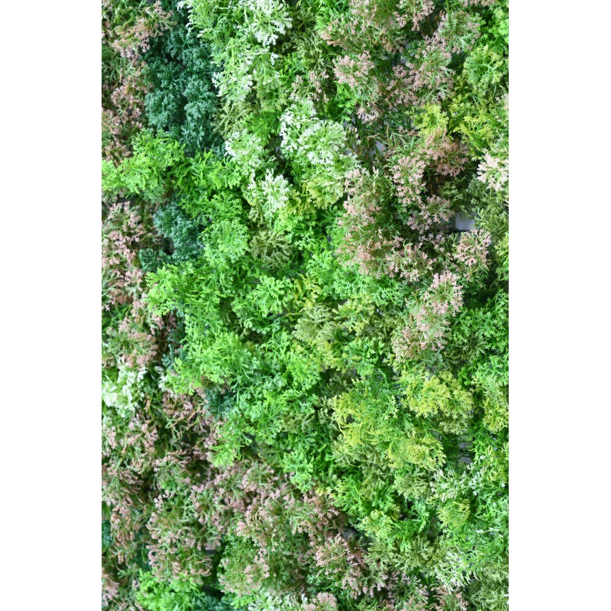 PANEL DE JARDÍN VERTICAL MUSGO 100*100