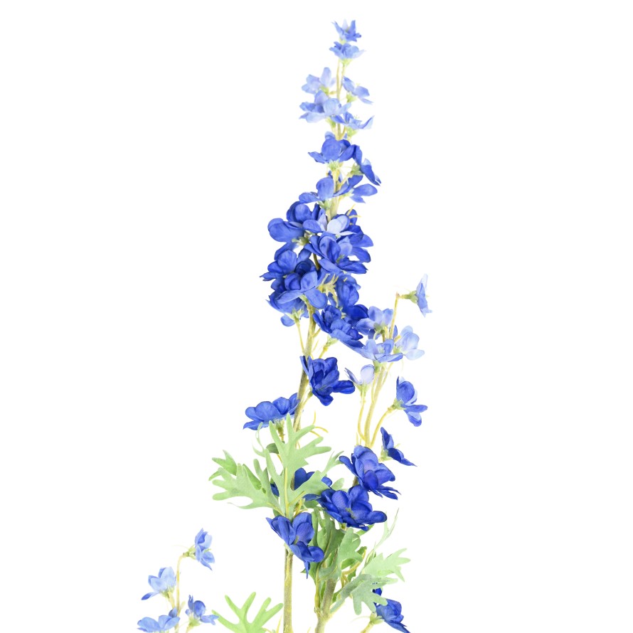 DELPHINIUM 86