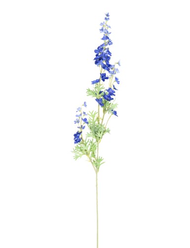 DELPHINIUM 86