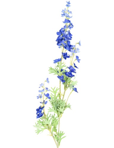 DELPHINIUM 86