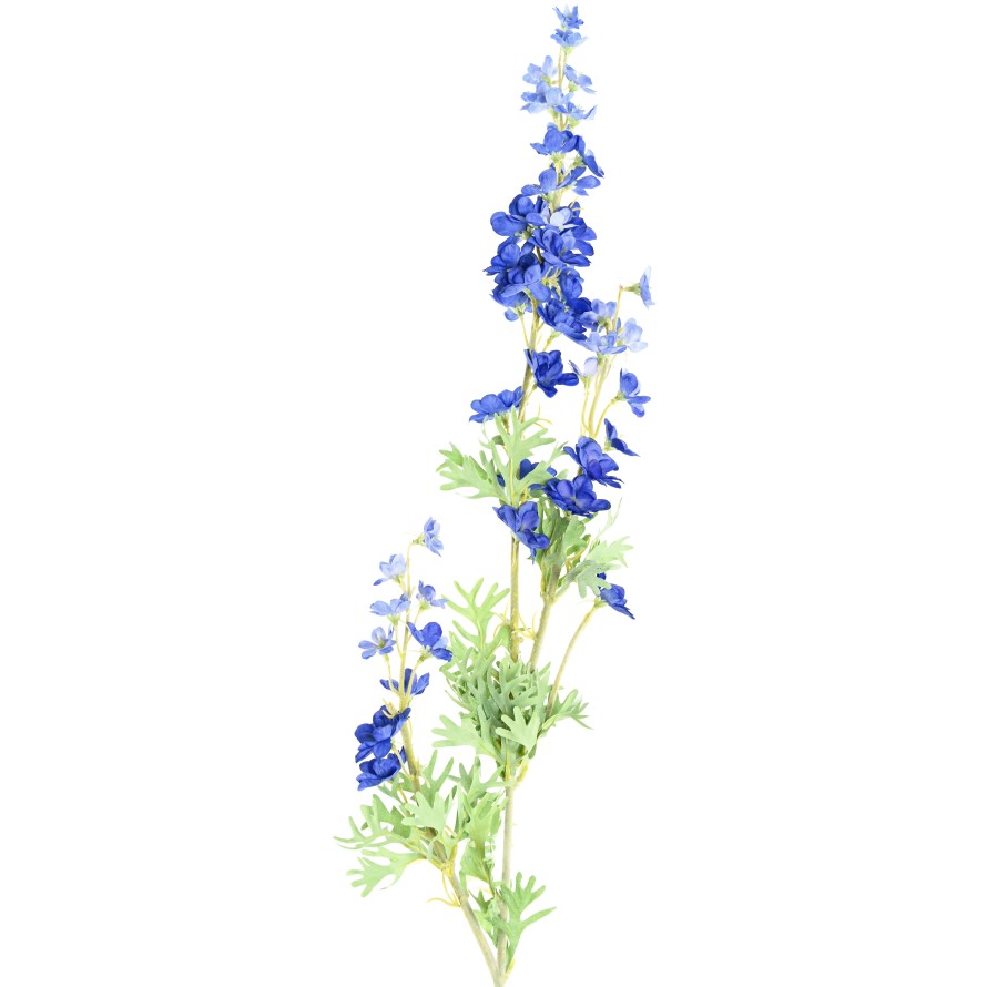 DELPHINIUM 86
