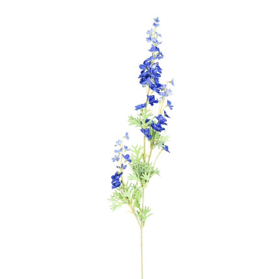 DELPHINIUM 86