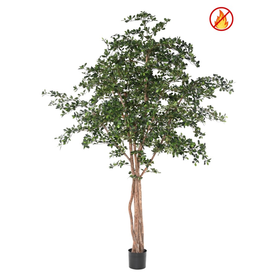 FIKUS BLACK OLIVE 300 FR – Feuerbeständig