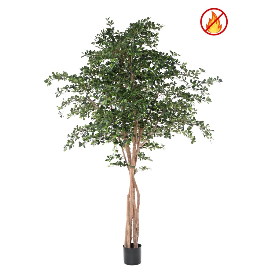 FIKUS BLACK OLIVE 300 FR – Feuerbeständig