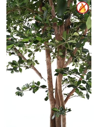 FIKUS BLACK OLIVE 300 FR – Feuerbeständig