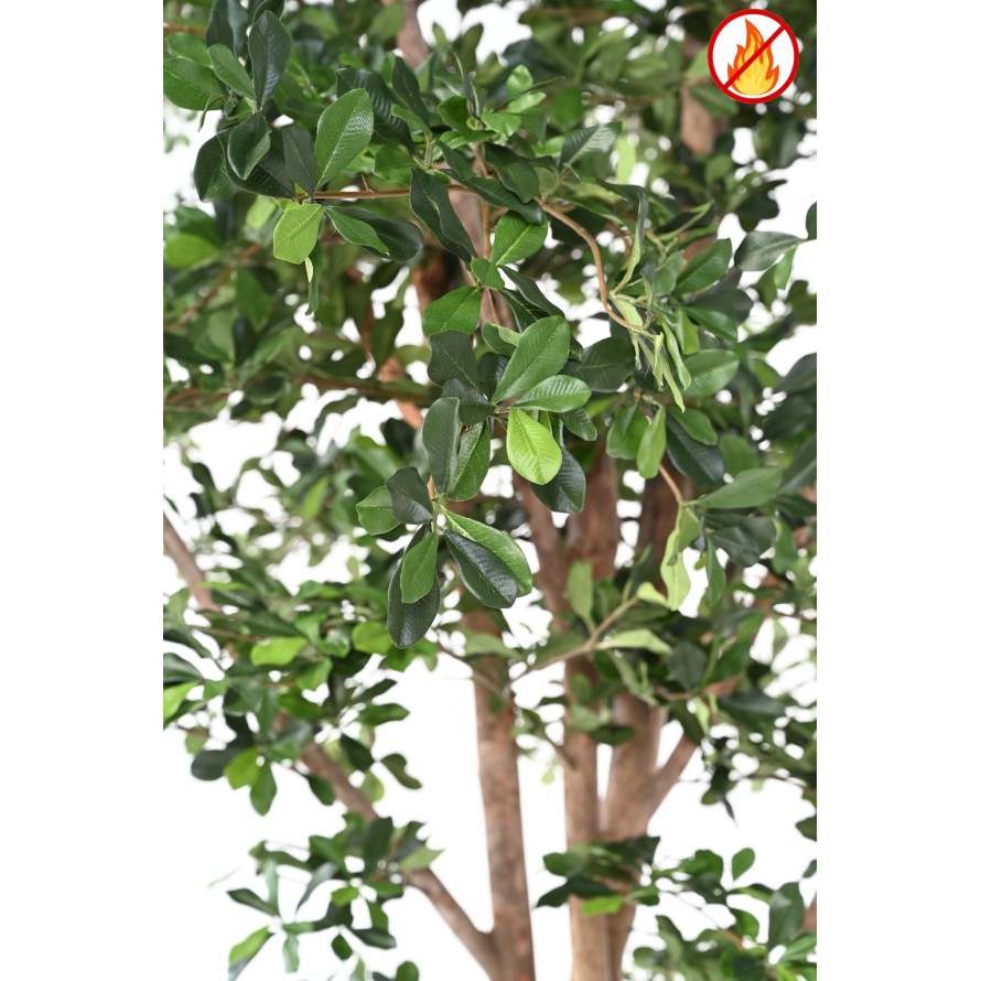 FIKUS BLACK OLIVE 300 FR – Feuerbeständig
