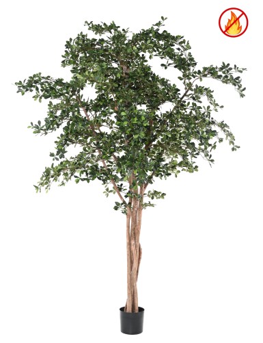 FIKUS BLACK OLIVE 300 FR – Feuerbeständig