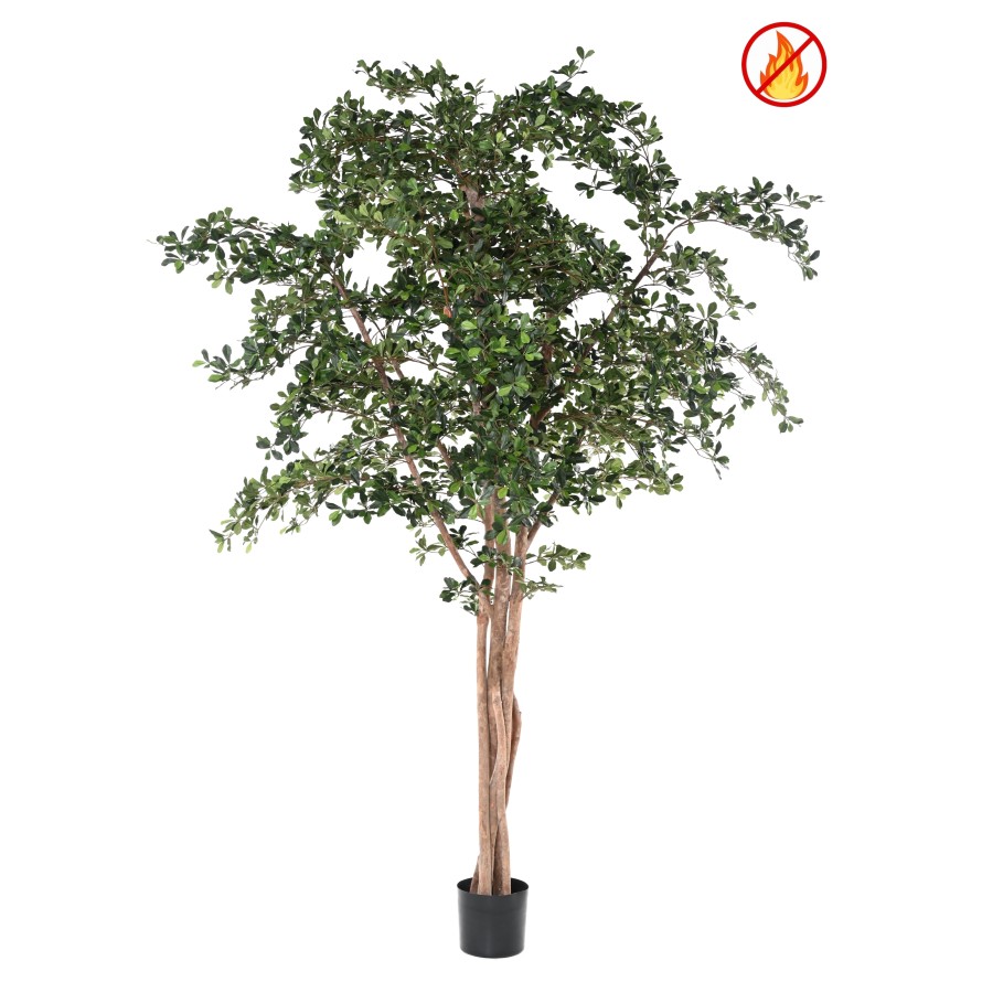 FIKUS BLACK OLIVE 300 FR – Feuerbeständig