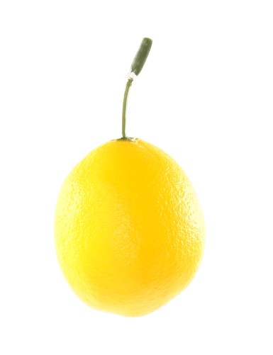 CITRON MEDIUM AVEC TIGE