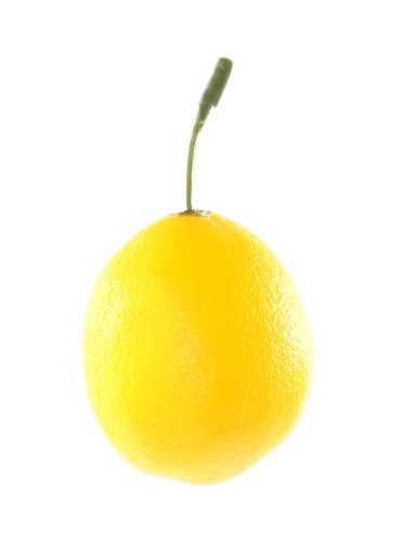 CITRON MEDIUM AVEC TIGE