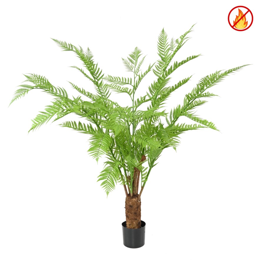 DICKSONIA (FARN) FR – Feuerbeständig