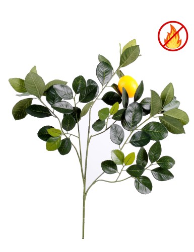 LEMON TREE GOLDEN SPRAY AND...