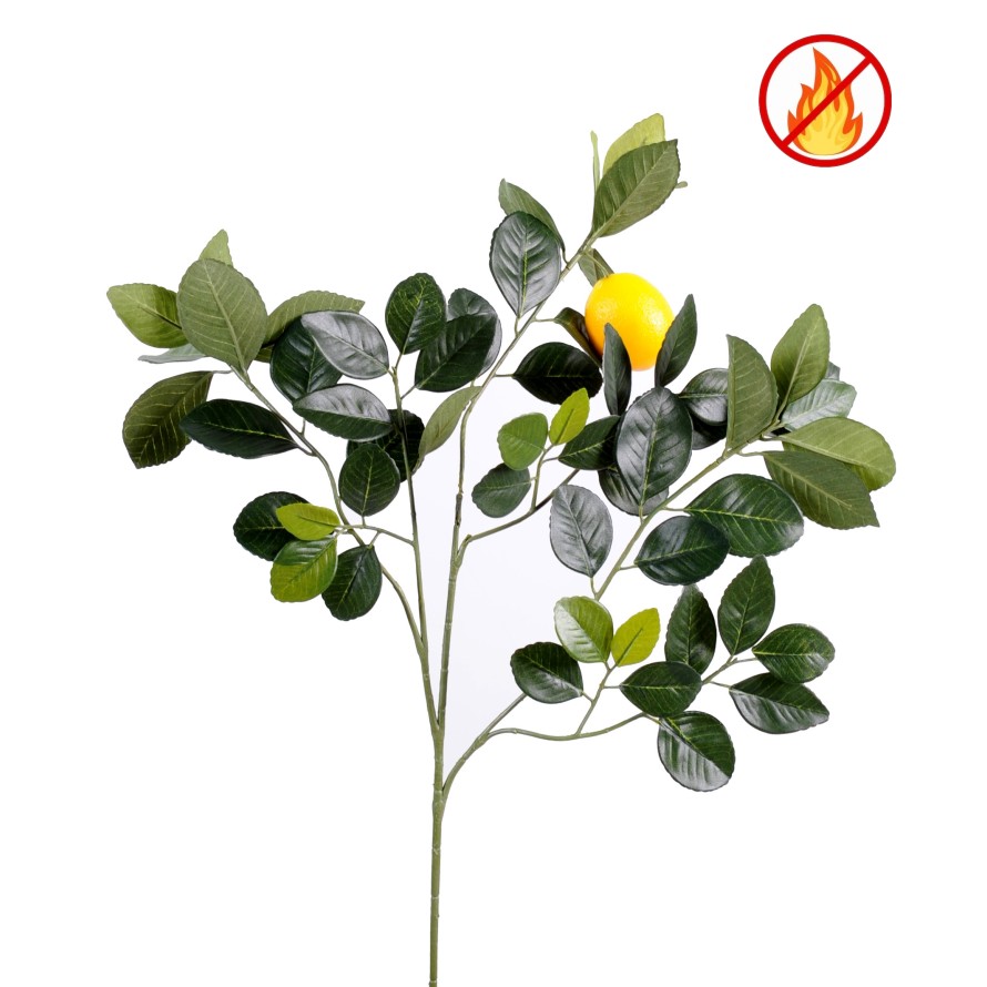 CITRONNIER GOLDEN SPRAY ET FRUIT M FR - Fire Resistant