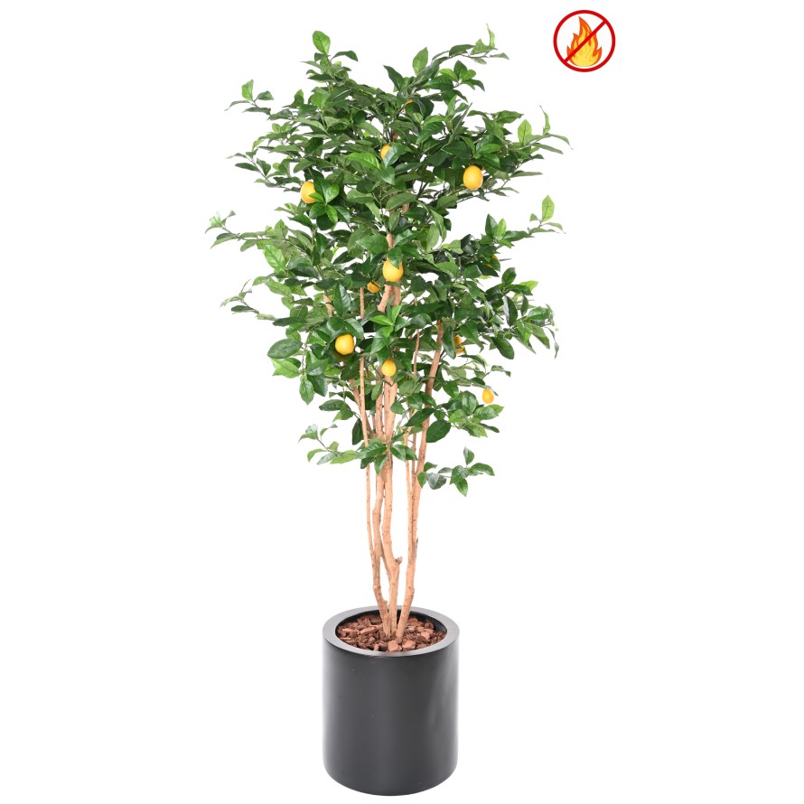 LIMONERO NEW 180 FR - Resistente al Fuego