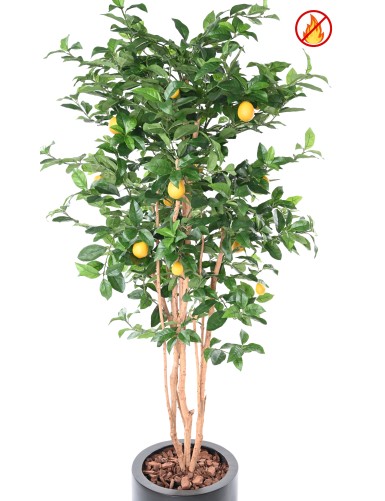 LEMON TREE NEW 180 FR - Fire Resistant