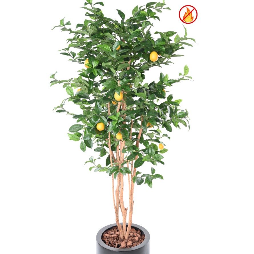 LEMON TREE NEW 180 FR - Fire Resistant
