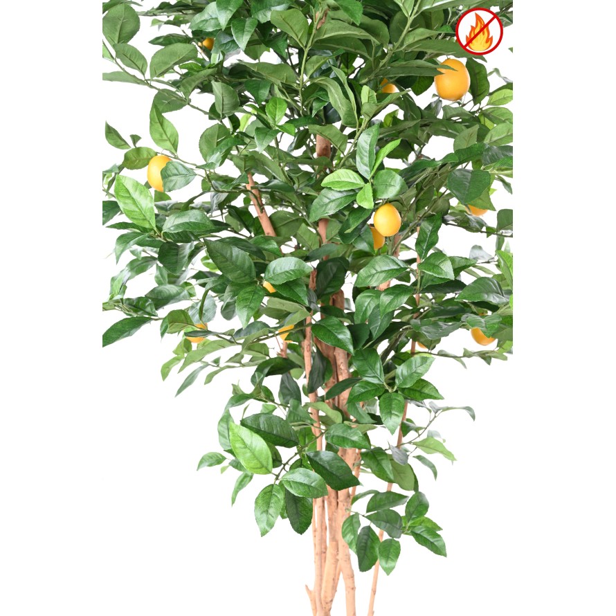 CITRONNIER NEW 180 FR - Fire Resistant