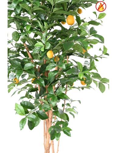 LEMON TREE NEW 180 FR - Fire Resistant