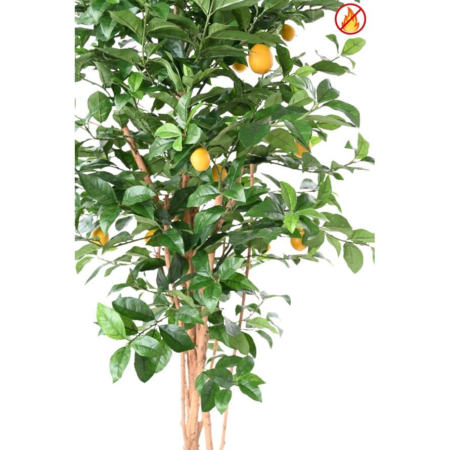 CITRONNIER NEW 180 FR - Fire Resistant