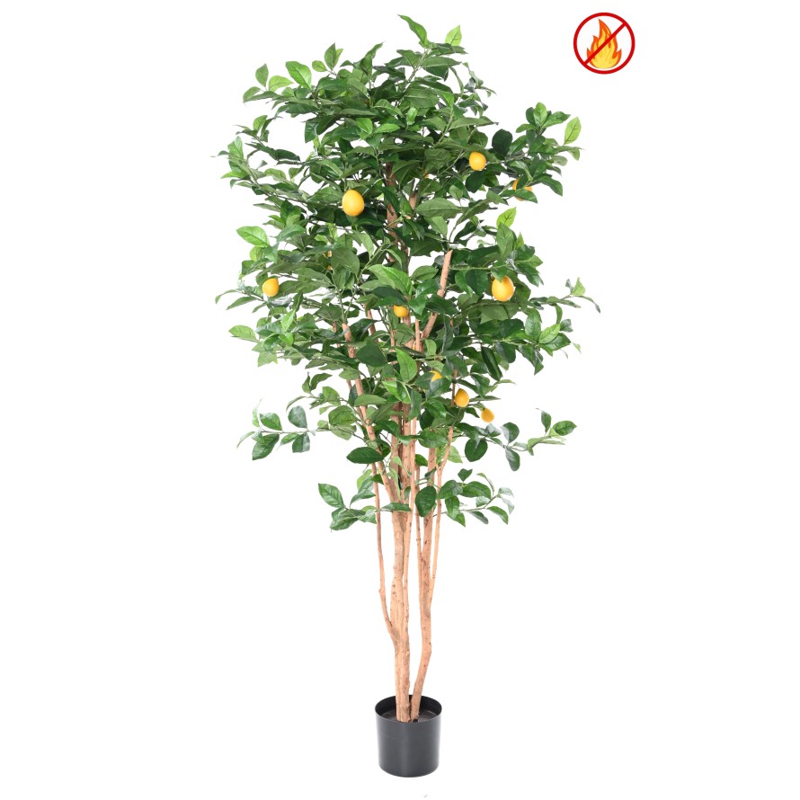 LIMONERO NEW 180 FR - Resistente al Fuego