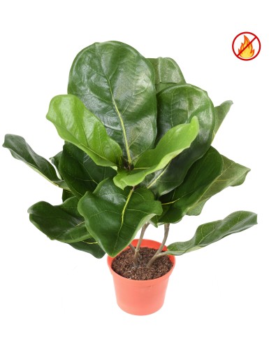 LYRATA POT FR - Fire Resistant