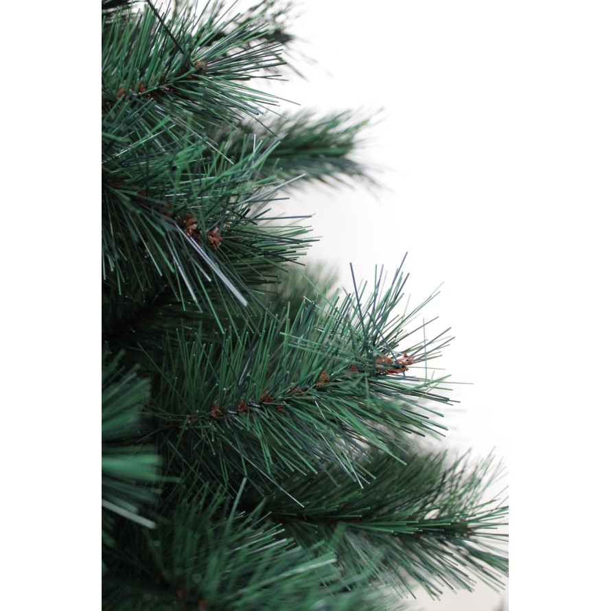 TANNE (Weihnachtsbaum) KANADA