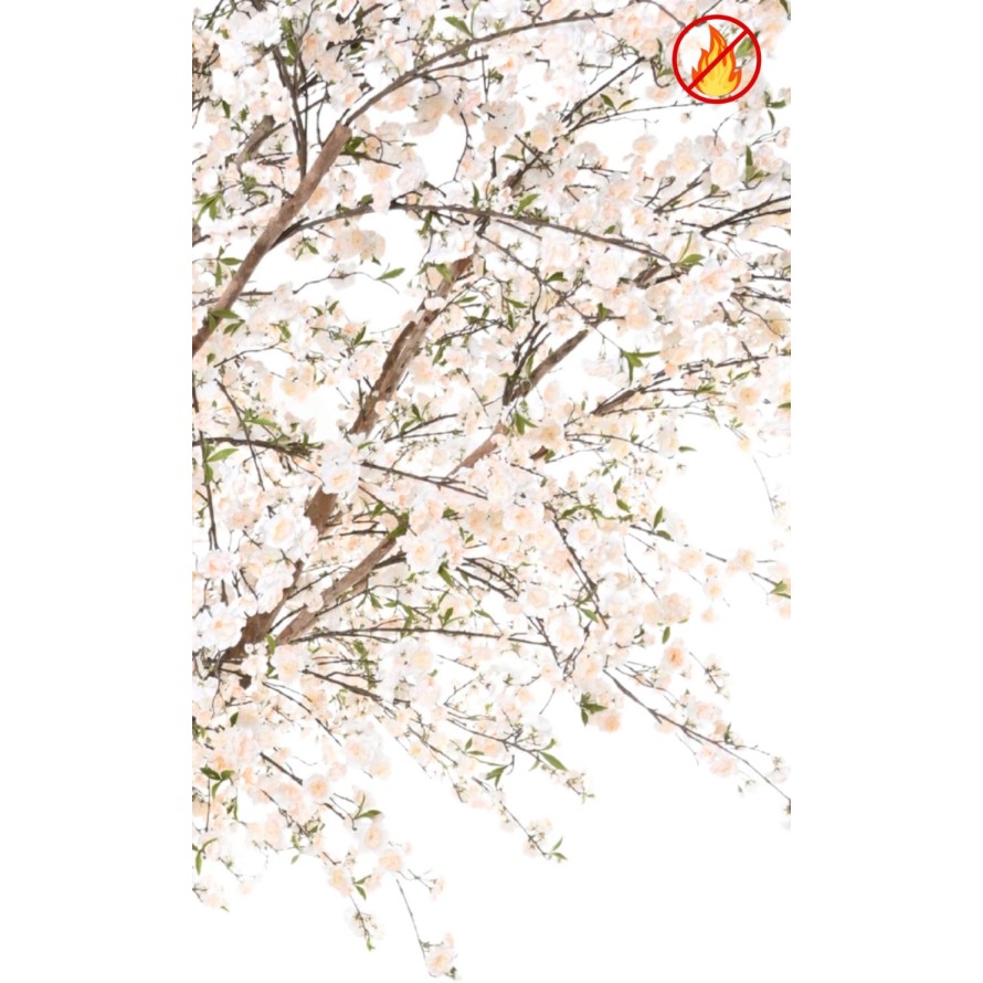 CERISIER FLEUR GEANT 4M10 FR - Fire Resistant