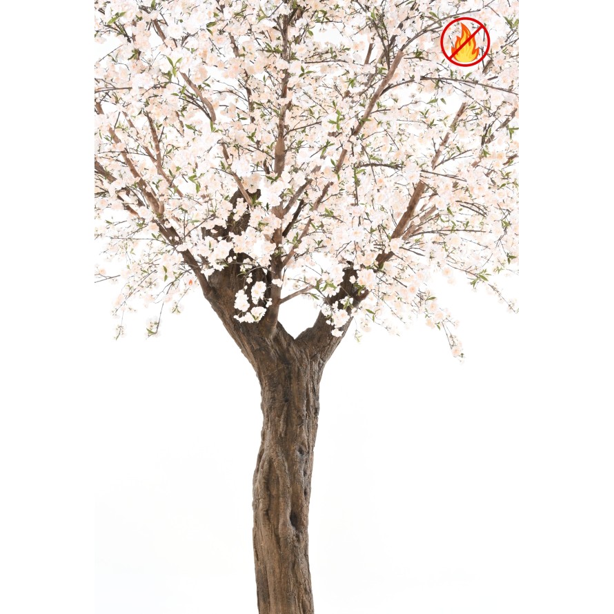 CERISIER FLEUR GEANT 4M10 FR - Fire Resistant