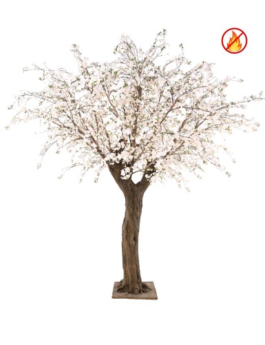 CERISIER FLEUR GEANT 4M10...