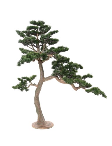 PINE BONSAI ALPES 160